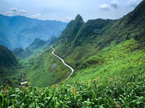 0406BAD8-A16A-44E6-AE0E-516DBD74CCD5