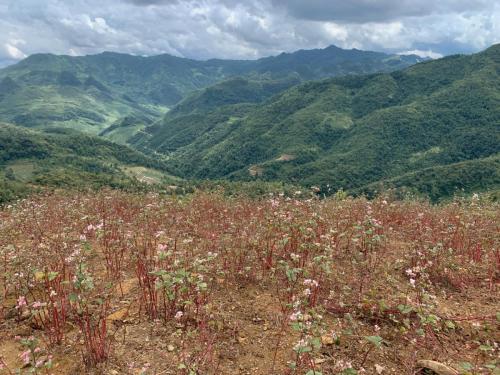 0B1A8144-765B-44B5-B741-37E5D6CE343F