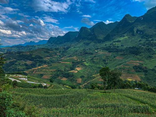 0BB344CE-BD87-46E4-9F79-1A0CE1C35469