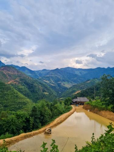 27D6838D-614C-41B9-A9D6-7DC1310A1FC0