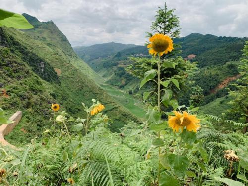 39931BE1-1178-452C-AED3-72D22A252067