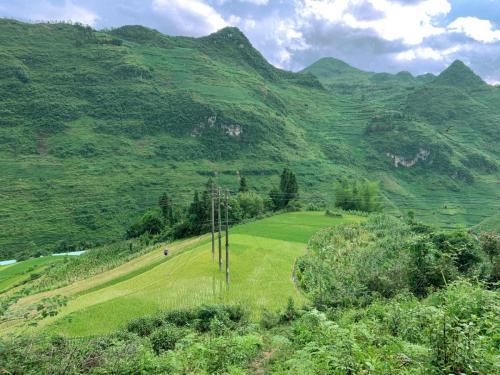 3F3B6EF0-0E22-4787-8579-EE6F57EE1837