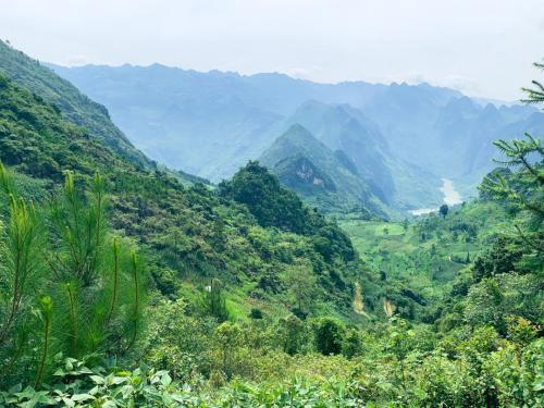 401880D0-82C8-4E5E-AC03-2ED250EC5F77