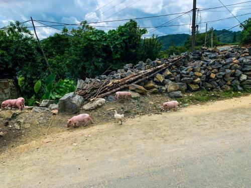 41169025-D3D8-4F7C-AA1E-DA9CD0EFB4F8