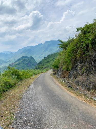 44913119-072B-4973-BDD6-DE82E719E20D