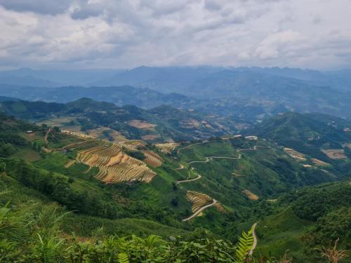 506F0677-FB1F-41D6-8BEF-6100AA0CDAFD