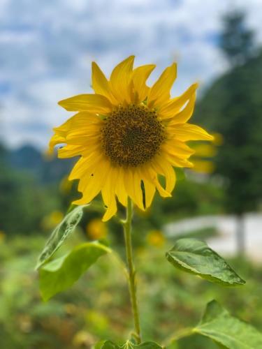 55C37D9D-3D7A-4C70-9769-44F252978742