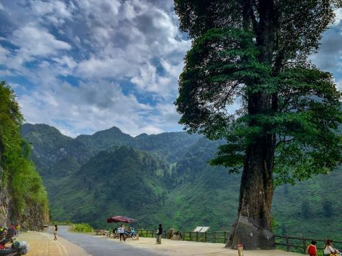 59C6E305-0F5C-458E-956F-6CE580C46A08