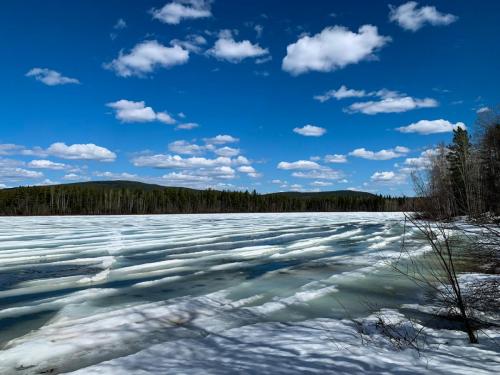 62B9C658-DDE4-46B1-95C5-95092575161D