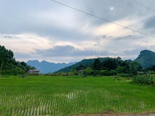 63912F8C-A367-459C-93B7-2D4AAD0B0ADF