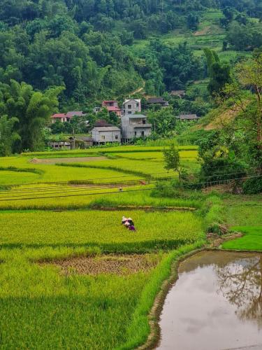 6937B3A5-378F-4C2F-B29C-AFF2CA1A03F9