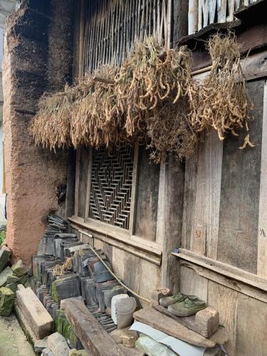 8223D9AD-BA03-4354-B1C0-294C7E021EDF