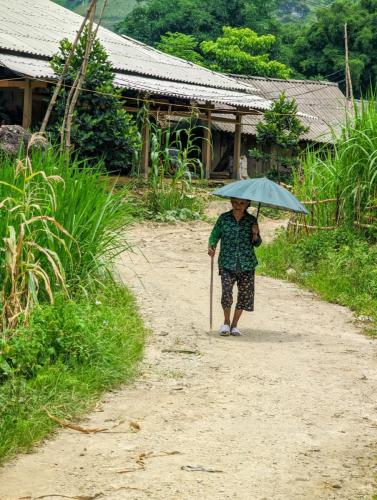 8ADFBE87-6792-4E69-950E-2DAB13DE9194