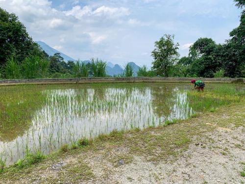 A088036D-EB33-4423-9563-625CB914C0C3