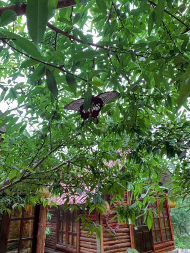 AA241A8A-C01F-4D8D-B8AF-D32CF9188940