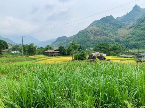 AC0810EC-DCBC-4808-8746-F06328E54896