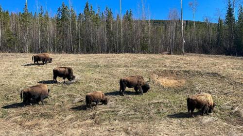 B294CEAB-A592-44E5-B6E1-173FF7507991