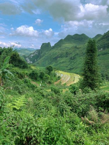 DA8DB366-5C7B-4678-B356-BDED5A7A2DCE