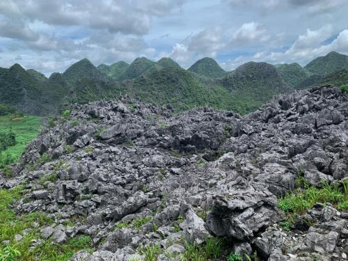 EA8CDDA7-5AA1-4192-AA86-729E99E2F0E5