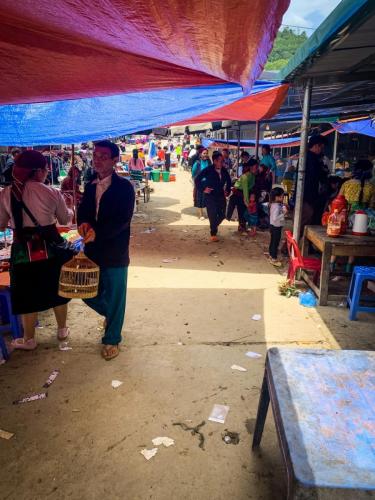 ED997CB9-B90A-498D-BF05-DD7CAD042BB9