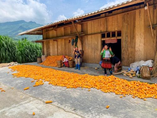 F85C3017-30B0-4521-A3C8-D1C0FDA44065